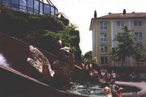 Schwan